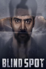 Movie Blind Spot Streaming on Amazon prime video