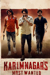 Web Series Karimnagar’s Most Wanted Streaming on Aha